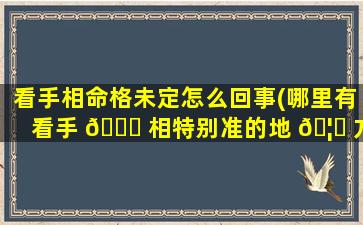 看手相命格未定怎么回事(哪里有看手 🐎 相特别准的地 🦍 方)